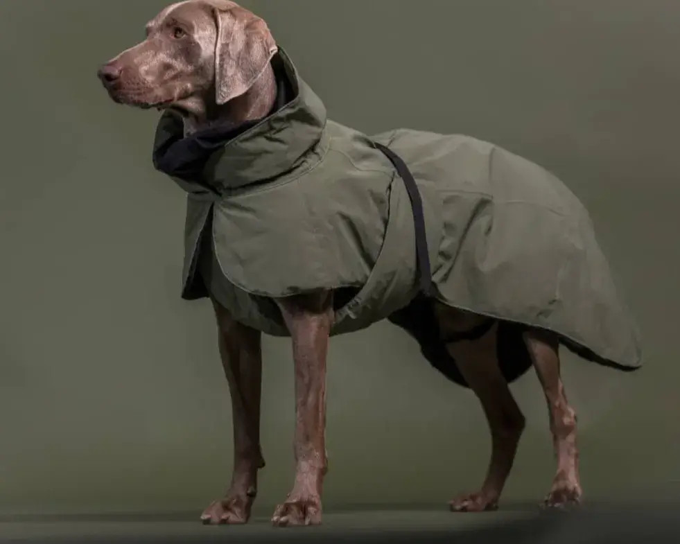 hundejakke-i-bryrup
