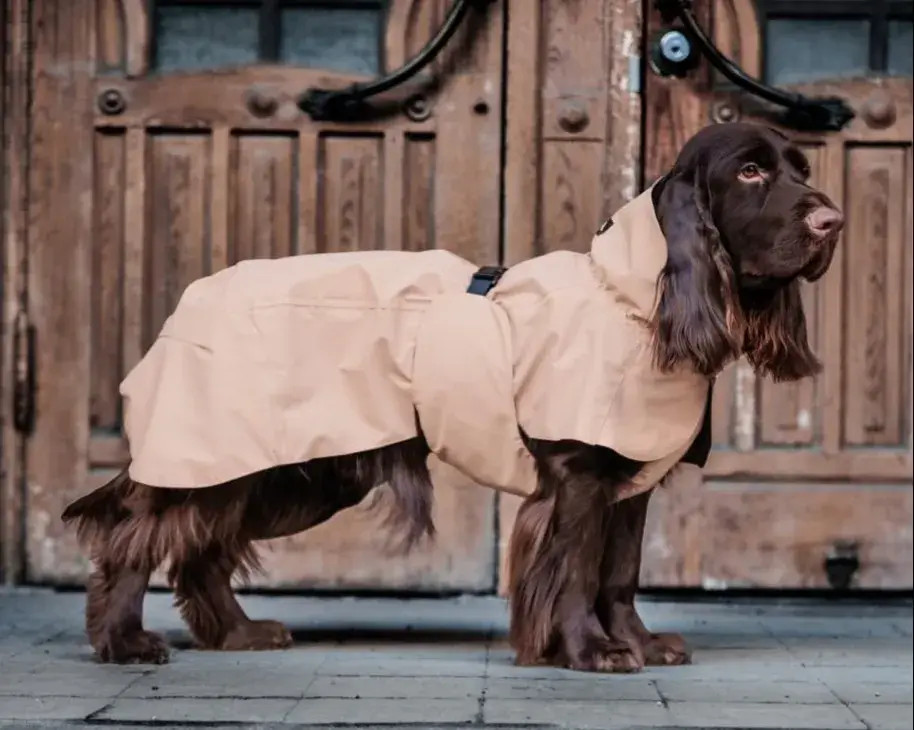 hundejakke-naer-braedstrup