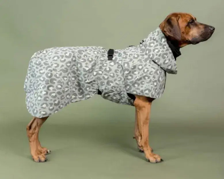 hundejakke-naer-horsens