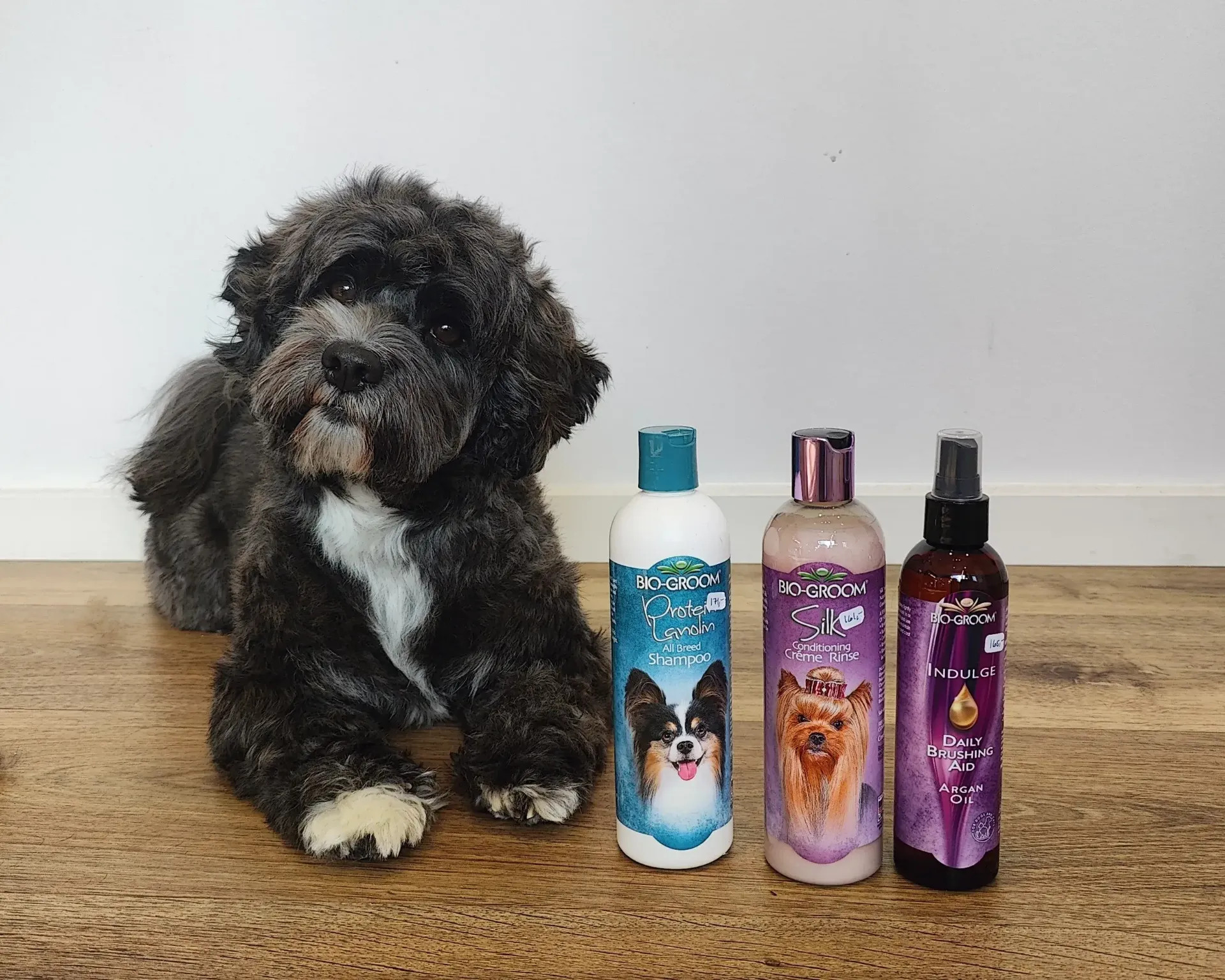 hundeshampoo-i-bryrup